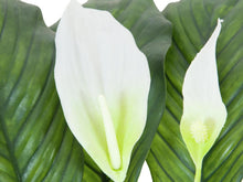 Lade das Bild in den Galerie-Viewer, Spathiphyllum deluxe, Kunstpflanze, 83 cm