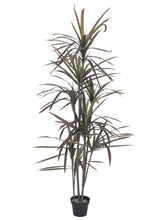 Lade das Bild in den Galerie-Viewer, Dracaena, künstlich, grün-rot, 180 cm