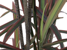 Lade das Bild in den Galerie-Viewer, Dracaena, künstlich, grün-rot, 180 cm