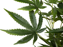 Lade das Bild in den Galerie-Viewer, Künstliche Hanfpflanze Cannabis-Pflanze Marihuana Haschpflanze 1,50 Meter
