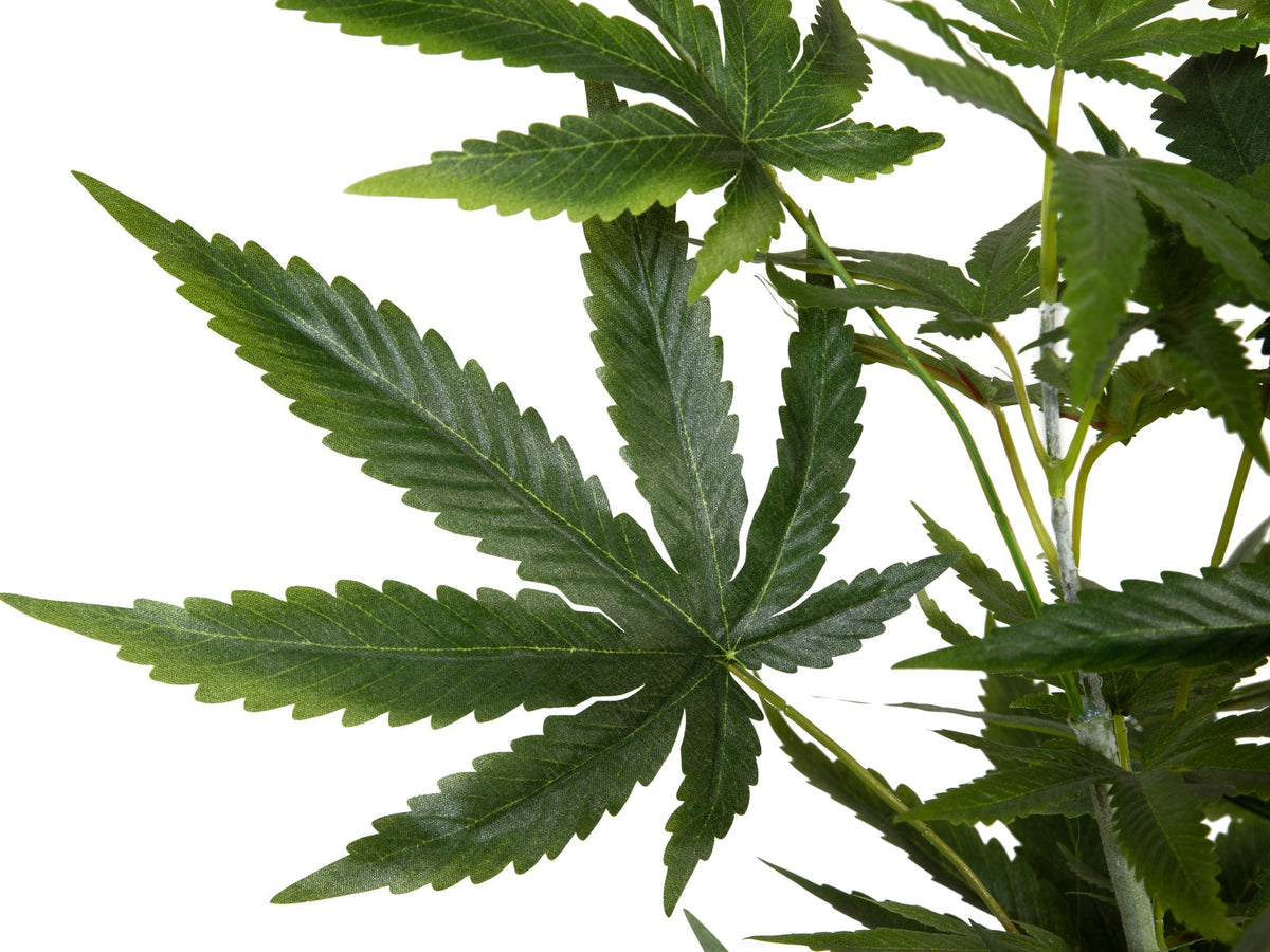 Künstliche Hanfpflanze Cannabis-Pflanze Marihuana Haschpflanze 1,50 Me –  Sunrise