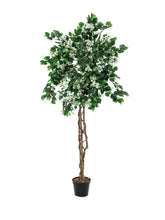 Lade das Bild in den Galerie-Viewer, Künstlicher Bougainvillea-Baum weiß 1,50 - 1,80 Meter