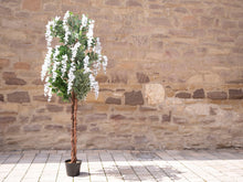 Lade das Bild in den Galerie-Viewer, Künstlicher Wisteria Goldregenbaum weiß 1,50 - 1,80 Meter

