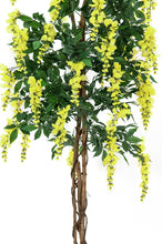 Lade das Bild in den Galerie-Viewer, Künstlicher Wisteria Goldregenbaum gelb 1,50 - 1,80 Meter
