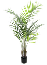 Lade das Bild in den Galerie-Viewer, Künstliche Areca-Palme (Betelpalme) mit üppigem Blattwerk. 125 - 185 cm