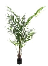 Lade das Bild in den Galerie-Viewer, Künstliche Areca-Palme (Betelpalme) mit üppigem Blattwerk. 125 - 185 cm