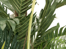 Lade das Bild in den Galerie-Viewer, Künstliche Kentia-Palme, 120 - 180 cm Höhe.