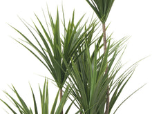 Lade das Bild in den Galerie-Viewer, Künstliche Yucca-Palme 1,30 Meter