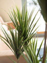 Lade das Bild in den Galerie-Viewer, Künstliche Yucca-Palme 1,30 Meter