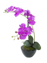 Lade das Bild in den Galerie-Viewer, Orchideen-Arrangement inkl. edlem Dekotopf