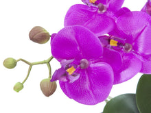 Lade das Bild in den Galerie-Viewer, Orchideen-Arrangement inkl. edlem Dekotopf