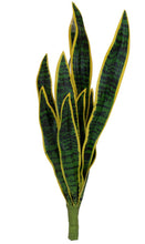 Lade das Bild in den Galerie-Viewer, Bogenhanf Sansevieria grün-gelb 60 cm