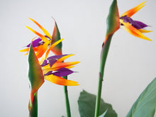 Lade das Bild in den Galerie-Viewer, Künstliche Strelizie. Paradiesvogelblume. 90 cm.
