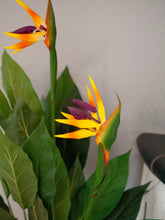 Lade das Bild in den Galerie-Viewer, Künstliche Strelizie. Paradiesvogelblume. 90 cm.