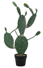 Lade das Bild in den Galerie-Viewer, Künstlicher Blätterkaktus 76 cm