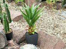 Lade das Bild in den Galerie-Viewer, Künstliche Agave im dekorativen Topf, 75 cm