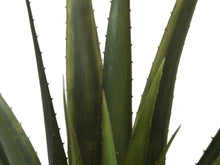Lade das Bild in den Galerie-Viewer, Künstliche Aloe-Vera Pflanze 60cm