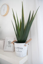 Lade das Bild in den Galerie-Viewer, Künstliche Aloe-Vera Pflanze 60cm