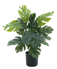 Lade das Bild in den Galerie-Viewer, Künstlicher Splitphilodendron 38 cm