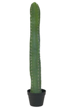 Lade das Bild in den Galerie-Viewer, Künstliche Kakteen in verschiedenen Größen 97 cm bis 173 cm