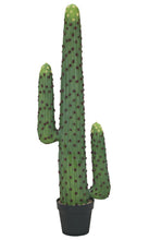 Lade das Bild in den Galerie-Viewer, Künstliche Kakteen in verschiedenen Größen 97 cm bis 173 cm