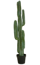 Lade das Bild in den Galerie-Viewer, Künstliche Kakteen in verschiedenen Größen 97 cm bis 173 cm