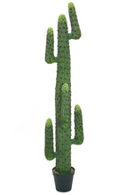 Lade das Bild in den Galerie-Viewer, Künstliche Kakteen in verschiedenen Größen 97 cm bis 173 cm