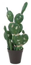 Lade das Bild in den Galerie-Viewer, Künstlicher Kakteenmix 54 cm
