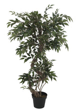 Lade das Bild in den Galerie-Viewer, Künstlicher Ficus-Benjamini-Baum mit natürlichem Spiralstamm. 130 cm - 160 cm. Pflegefrei.