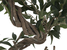 Lade das Bild in den Galerie-Viewer, Künstlicher Ficus-Benjamini-Baum mit natürlichem Spiralstamm. 130 cm - 160 cm. Pflegefrei.