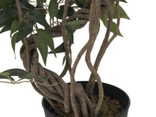 Lade das Bild in den Galerie-Viewer, Künstlicher Ficus-Benjamini-Baum mit natürlichem Spiralstamm. 130 cm - 160 cm. Pflegefrei.