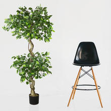 Lade das Bild in den Galerie-Viewer, Künstlicher Ficus-Benjamini 150 cm mit 2 Baumkronen. Zierpflanze, Ziergewächs.