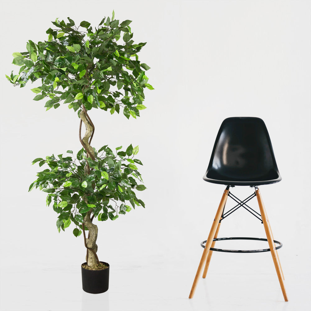 Künstlicher FicusBenjamini 150 cm mit 2 Baumkronen. Zierpflanze, Zier
