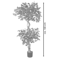 Lade das Bild in den Galerie-Viewer, Künstlicher Ficus-Benjamini 150 cm mit 2 Baumkronen. Zierpflanze, Ziergewächs.