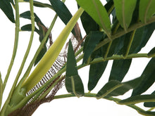 Lade das Bild in den Galerie-Viewer, Künstliche Parlour-Palme 1,50 Meter