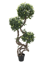 Lade das Bild in den Galerie-Viewer, Künstlicher Ficus-Benjamini-Baum mit natürlichem Spiralstamm. 130 cm - 160 cm. Pflegefrei.