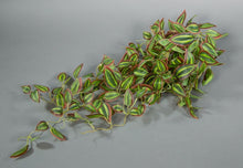 Lade das Bild in den Galerie-Viewer, Melonenblattranke / Tradescantiaranke Real Touch 65 cm