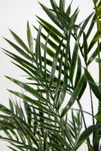 Lade das Bild in den Galerie-Viewer, Palmenbusch 42cm