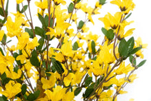 Lade das Bild in den Galerie-Viewer, Künstliche Forsythie mit Naturstämmen, 120 cm