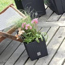 Lade das Bild in den Galerie-Viewer, Übertöpfe rechteckig Rattan Optik 20 cm - 40 cm