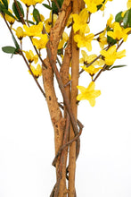 Lade das Bild in den Galerie-Viewer, Künstliche Forsythie mit Naturstämmen, 120 cm