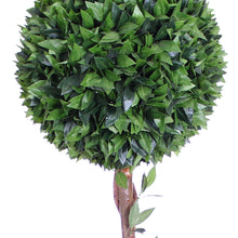 Lade das Bild in den Galerie-Viewer, Kirschlorbeerkugelbaum mit Naturstamm 130 cm