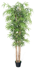 Lade das Bild in den Galerie-Viewer, Künstlicher Bambus-Baum mit Seidenblättern und Naturstämmen. Pflegefrei. 120, 150, 180 und 210 cm.