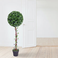 Lade das Bild in den Galerie-Viewer, Kirschlorbeerkugelbaum mit Naturstamm 130 cm