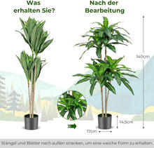 Lade das Bild in den Galerie-Viewer, Künstlicher Dracaena mit schlanken Naturstämmen 140 cm