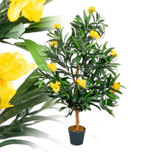 Lade das Bild in den Galerie-Viewer, Künstlicher Oleanderbaum mit Blüten und Seidenblättern. 120 cm. Pflegefrei. Blüten: Gelb
