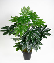 Lade das Bild in den Galerie-Viewer, Aralie Real Touch 60 cm grün im Topf