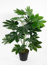Lade das Bild in den Galerie-Viewer, Aralie Real Touch 60 cm grün im Topf