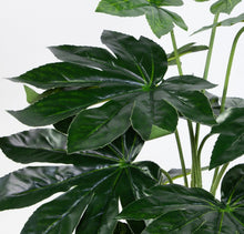 Lade das Bild in den Galerie-Viewer, Aralie Real Touch 60 cm grün im Topf