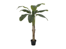 Lade das Bild in den Galerie-Viewer, Künstliche Bananen-Palmen mit Seidenblättern und Naturstämmen. 6 Größen 100 bis 240 cm.